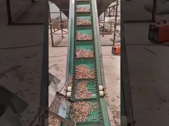 50HZ van de de Korrelmachine 3Phase van de ringmatrijs Verticale Korrel die Machine 450-700mm maken