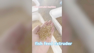 Natte proces visvoerextruder