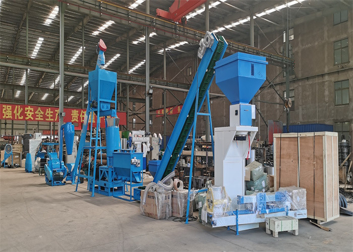 Molen van de biomassa de houten korrel voor het maken van houten het zaagselpelletiseermachine van de logboektak tot houten korrelproductielijn