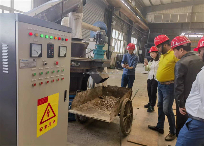 Van de de matrijzenbiomassa van de hoge capaciteits verticale ring van de de korrelmachine van de het zaagselverwerking houten de korrelmachine met Ce