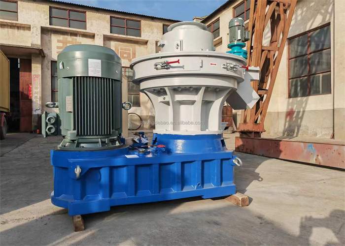 Van de de matrijzenbiomassa van de hoge capaciteits verticale ring van de de korrelmachine van de het zaagselverwerking houten de korrelmachine met Ce