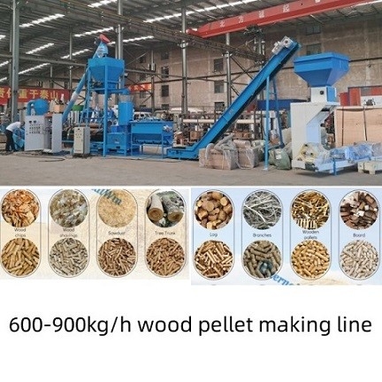 500 - 1000kg/van het Zaagsel Houten Korrels van H Multifunctionele de Machinebiomassa/Houten Korrelproductielijn