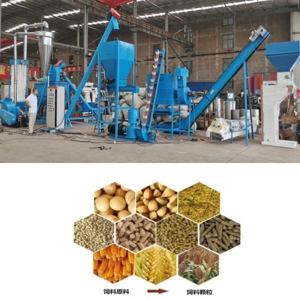 Van het de Schapengevogelte van het kippenrundvlees van de de Maaltijdkorrel van de de Molenpelletiseermachine van het de Productielijnvoer de Korrelproductielijn