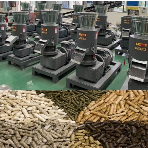 200-500kg per van de de Korrelmachine van het Uurzaagsel Houten van de de Rol Houten Korrel Bewegende de Molenmachine voor Industrieel Gebruik