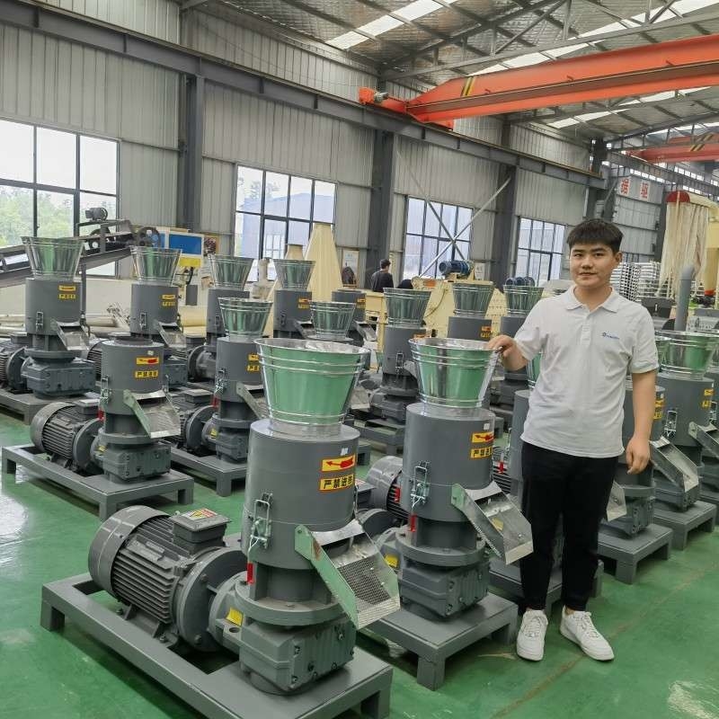 De vlakke van de de Korrelmolen van de Matrijzen300-800kg /H Biomassa Houten Machine van de het Zaagselkorrel met Ce-Certificaat