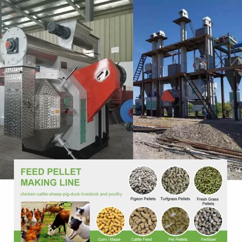 100kg aan 10 Ton Pellet Mill Machine Animal de Brandstof van de de Productielijnbiomassa van de Voerkorrel