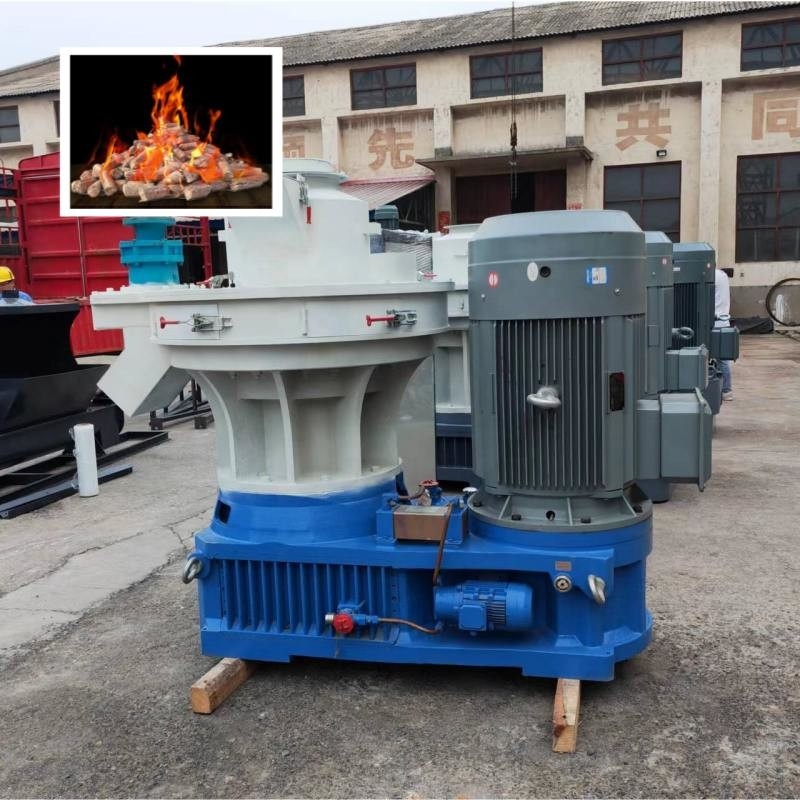 1t/H Ring Die Biofuel Wood Pellet-Molen voor Houten Chips Waste Wood Pelletizer