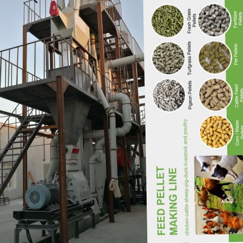 1-5 van de de Korrelmolen van Tons/H de Horizontale Machine van Ring Die Chicken Feed Manufacturing