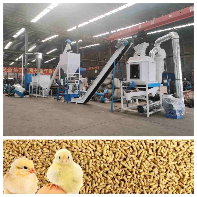 Ce-de Productielijn 5t/H Ring Die Feed Pellet Machine van de Voerkorrel met Stoomgenerator