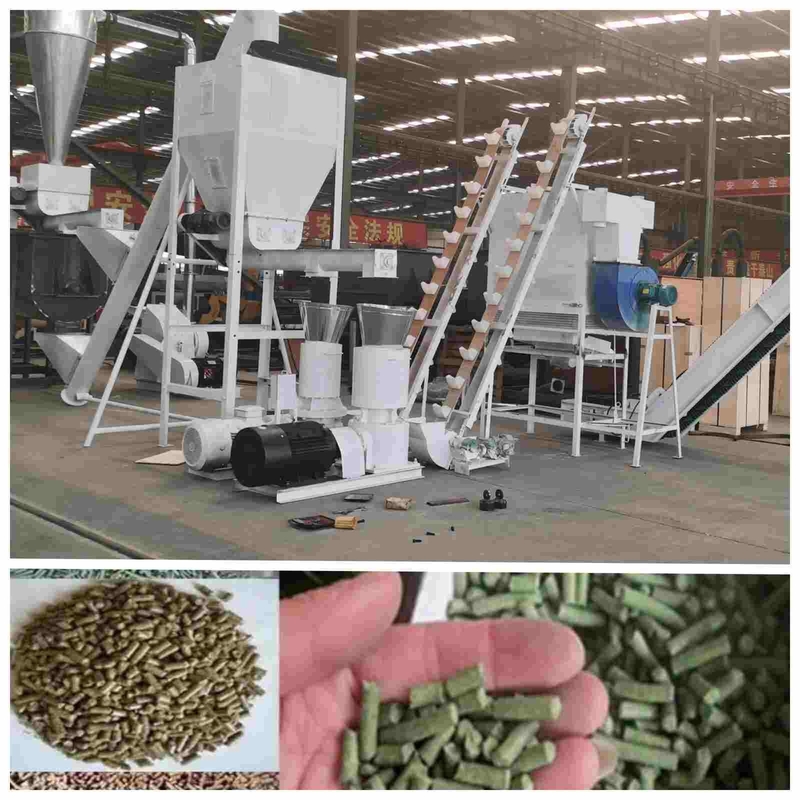 2ton/H automatische Machine 2.5mm van de Gevogeltekorrel Korrel die Machine voor Gevogeltevoer maakt