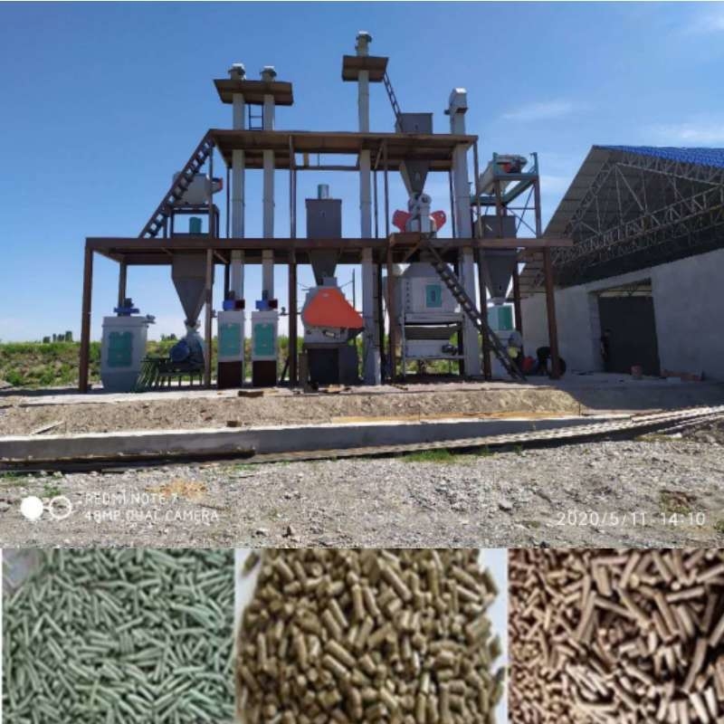 Van de het Dierenvoerkorrel van Ce van de Productielijnring die 1-10 TPH van het het Konijnvoer de Korrelmachine