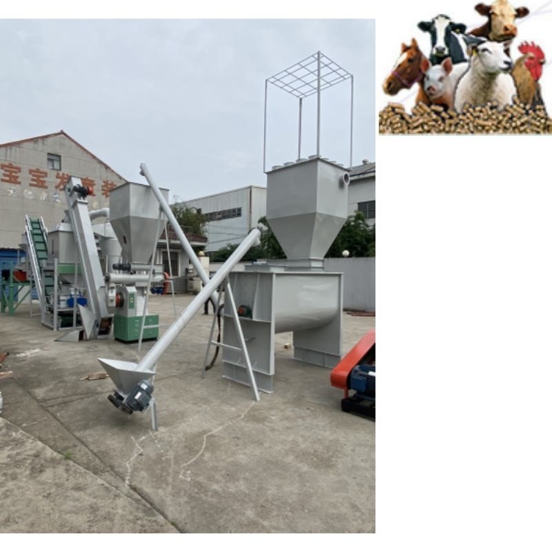 500kg/H van de Productielijnring die poultry feed pellet van de Dierenvoerkorrel de Molen Dierenvoer