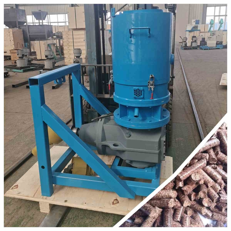 100-800kg/H z.o.z.-de Vissenkorrel die van de Korrelmolen Machinezaagsel Straw Fuel Biomass maken
