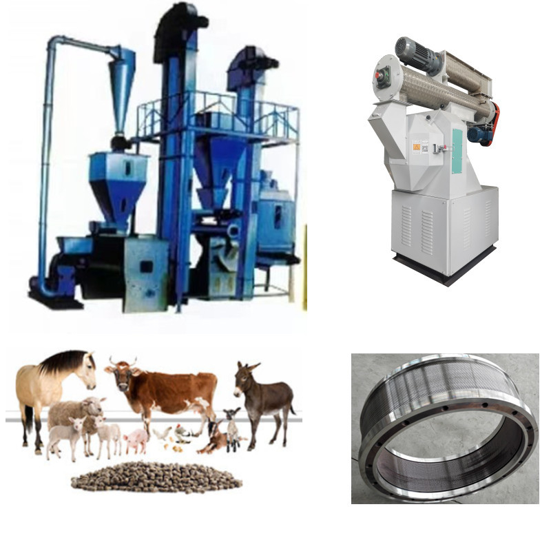 Productielijn voor hoog efficiënte voederpellets Clean Crush Mix Granulate Cool Screen & Pack