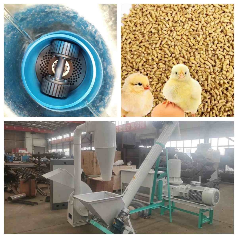 De vlakke van de de Korrelmaker 300kg/H -1000Kg/H van het Matrijzenvoer Kleine Productielijn van de het Dierenvoerkorrel