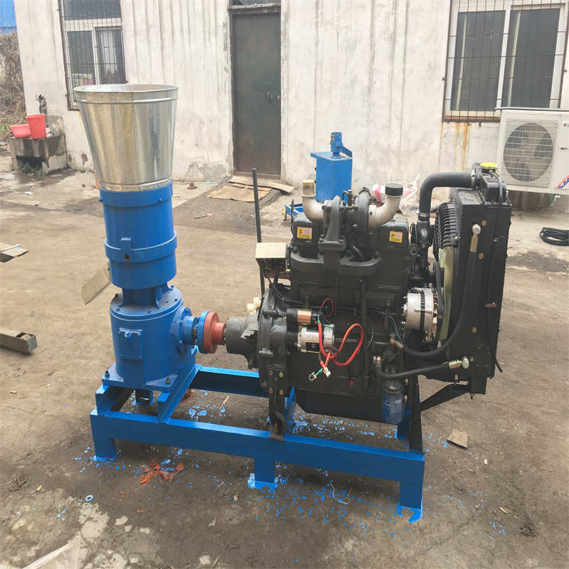 Vleesvoer Pellet Mill Machine Pellet Mill Pellet Making Machine Machine Huishouden 15HP 2200r/M