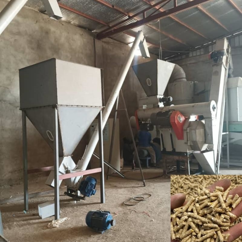 Dierenvoer Pellet Productielijn Vleesvoer Fokkelvoer Pelletizing Machine Maak pellets voor diervoeder