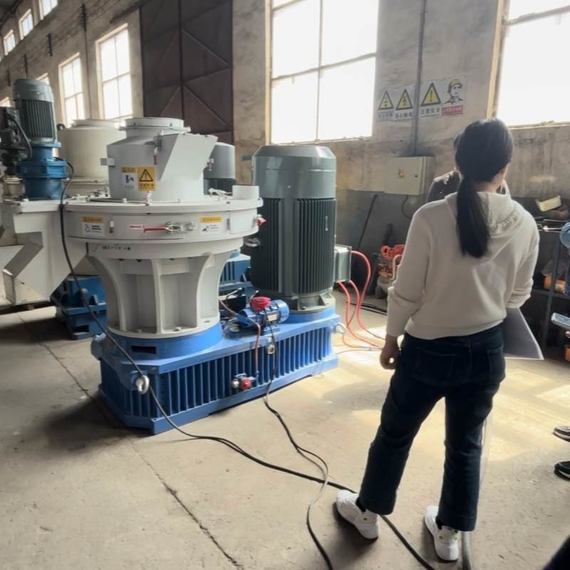 Houtsplinter Biomassa Briquetteermachine voor de productie van biomasse
