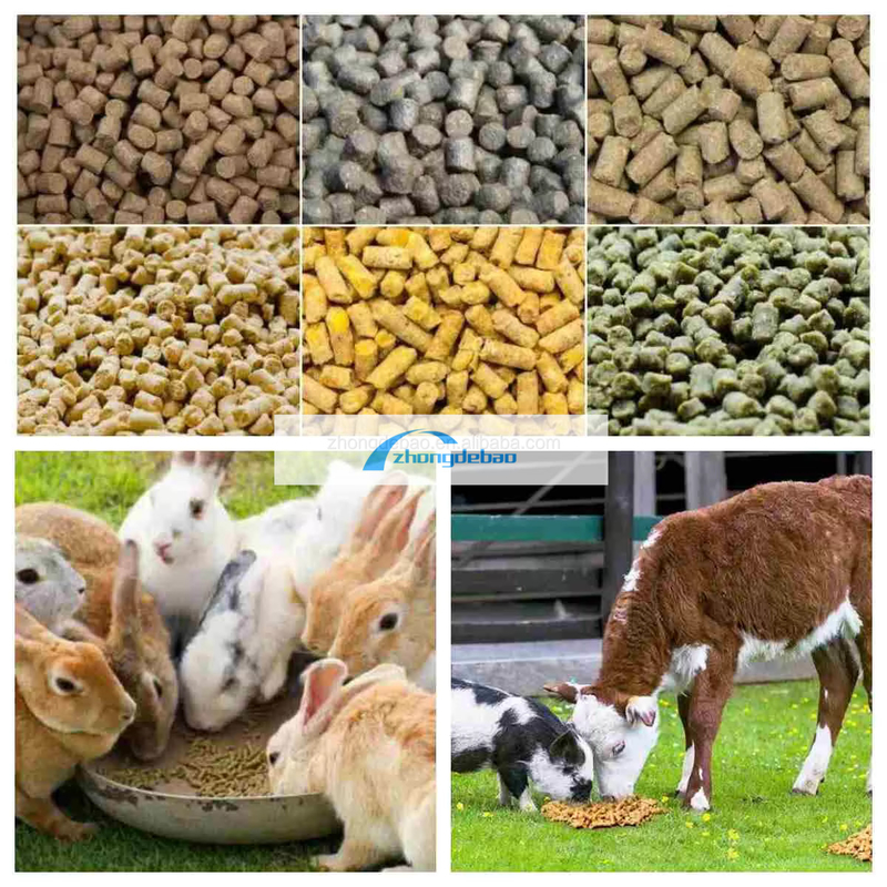 300-400 kg/uur pelletmachine voor huisdierenvoeding met een hoge productiviteit