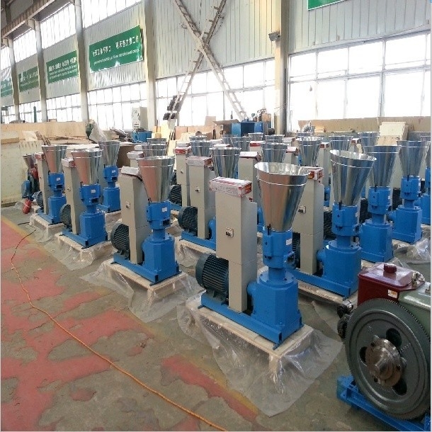 Nieuwe generatie pelletmachine voor voedingsmiddelen Met een hoge productiviteit
