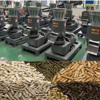200-500kg per van de de Korrelmachine van het Uurzaagsel Houten van de de Rol Houten Korrel Bewegende de Molenmachine voor Industrieel Gebruik
