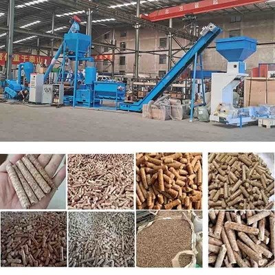 600-800kg/H houten de Biomassakorrel die van de Korrelproductielijn tot Machine maken Vlakke Matrijs