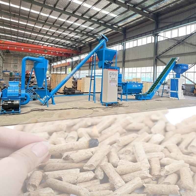 Van de de Biomassakorrel van de fornuisbrander Productielijn 6mm Houten Korrel Productieinstallatie