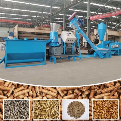 De automatische Houten Maker van de de Biomassakorrel van de Korrelmaker 250-350kg/H Kleine