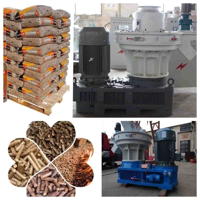 1-1.5ton/H Korrel die van de de Rijstschil van Ring Die Pellet Mill Machine de Houten Machine maken
